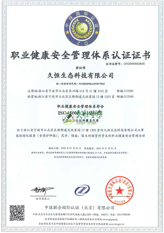 武昌职业健康安全管理体系ISO45001证书